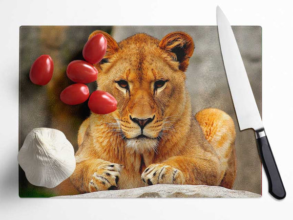 Lioness Watch Glass Chopping Board