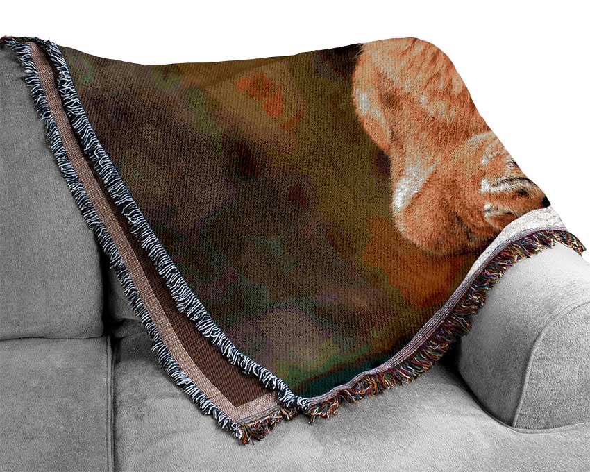 Lioness Watch Woven Blanket