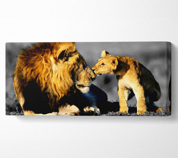 Lions-Familienstolz