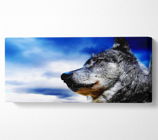 Prächtiger Wolf