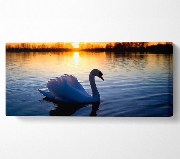 Einsamer Schwan