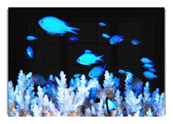 Neonfisch
