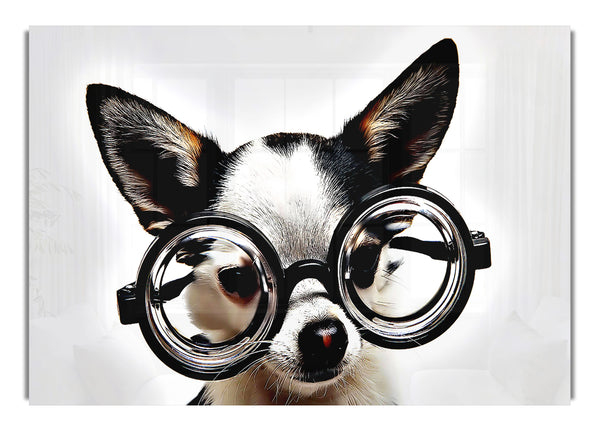 Streber-Hund