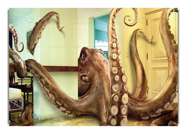 Oktopus-Invasion