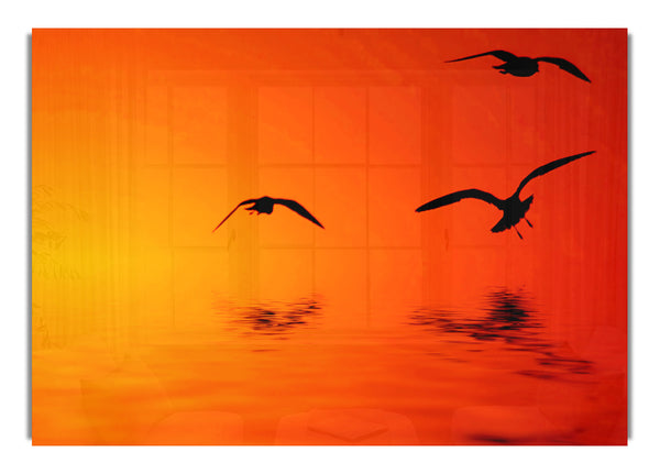 Orange Ocean Flug