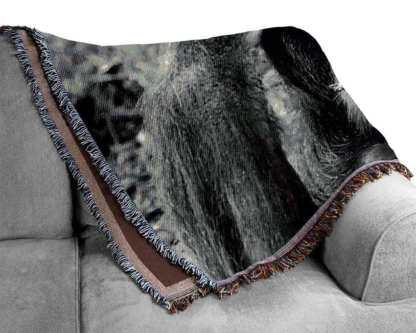 Orangutan Mishap Woven Blanket