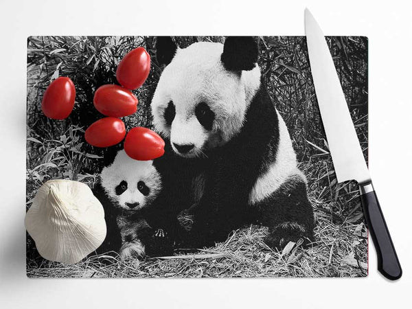 Panda Mother And Baby Glass Chopping Board
