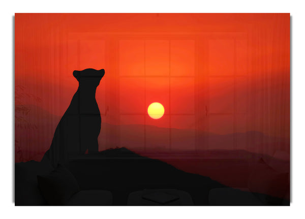 Panther-Sonnenuntergang