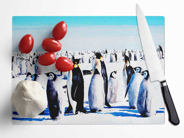 Penguin Meeting Place Glass Chopping Board