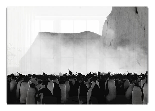 Pinguin Winter