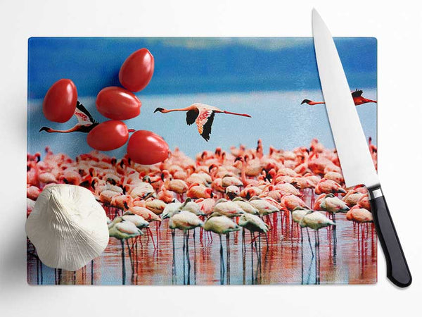 Pink Flamingos In Flight Glass Chopping Board