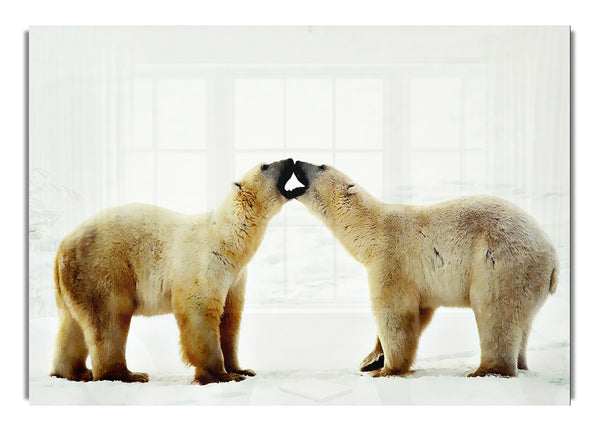 Eisbärenliebe
