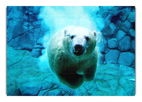 Eisbär Ozean