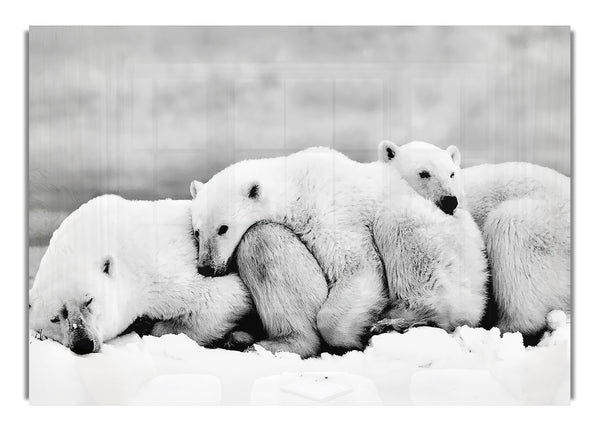 Eisbärenfamilie