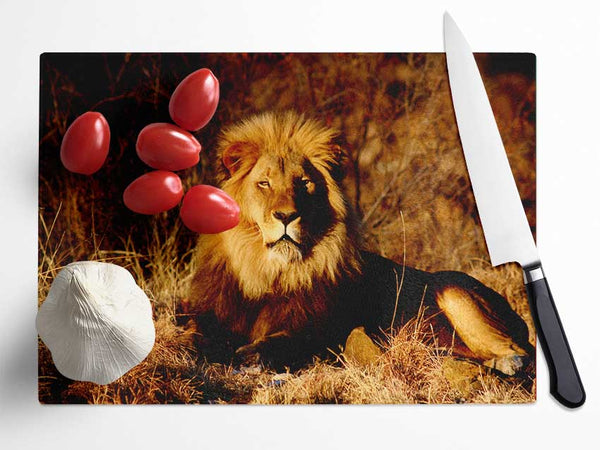 Proud African Lion Glass Chopping Board