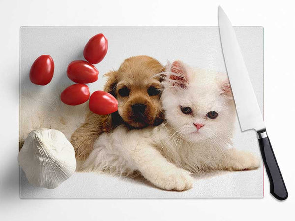 Puppy And Kitten Love Glass Chopping Board