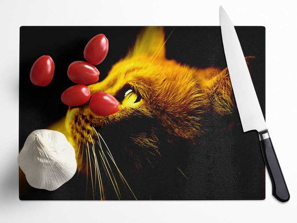 Red Cat Profile Glass Chopping Board