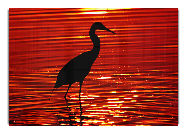Flussvogel