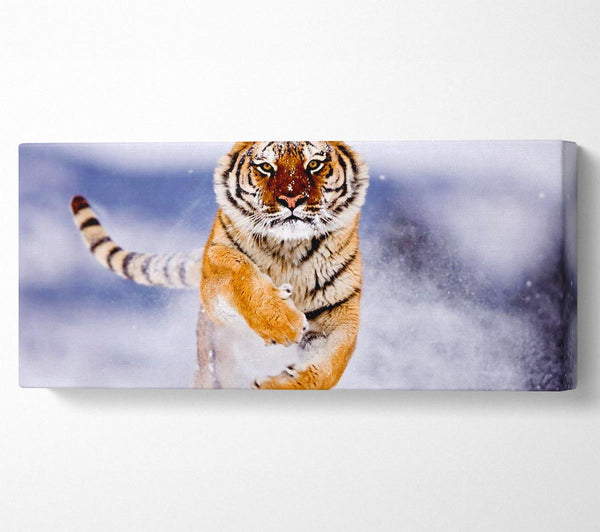 Laufender Schneetiger