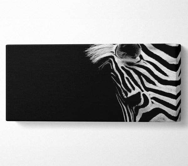 Trauriges Zebra