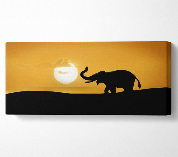 Safari-Elefant