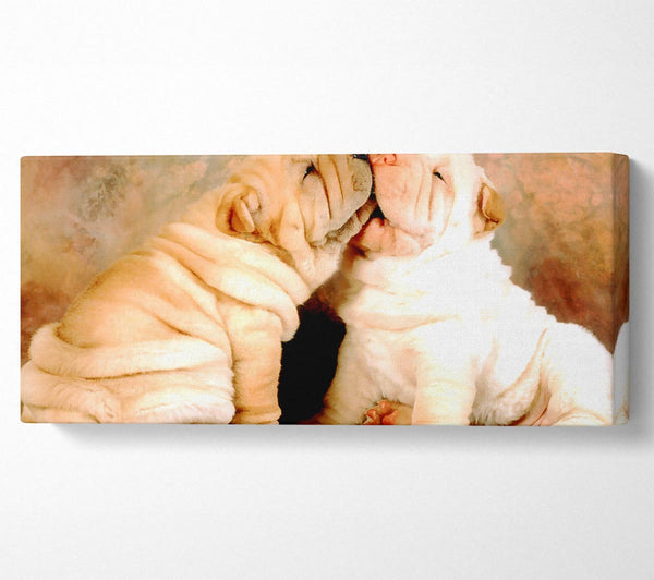 Shar Pei Welpen