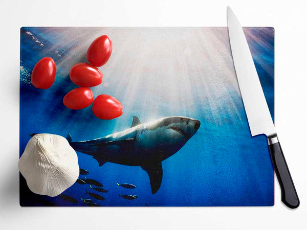 Shark In A Blaze Of Sunlight Glass Chopping Board