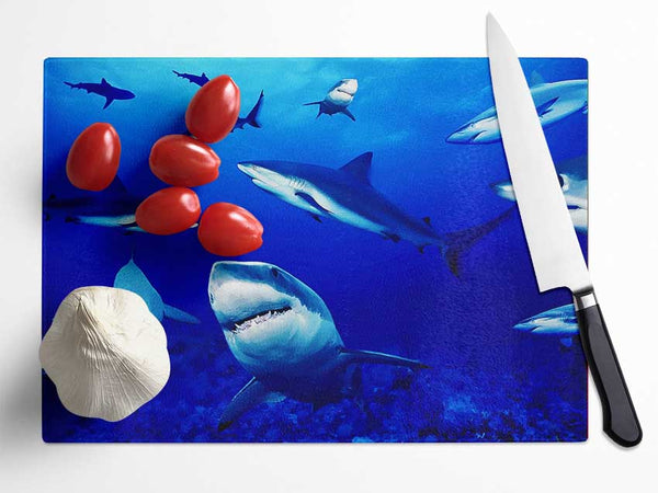 Sharks Ocean Glass Chopping Board