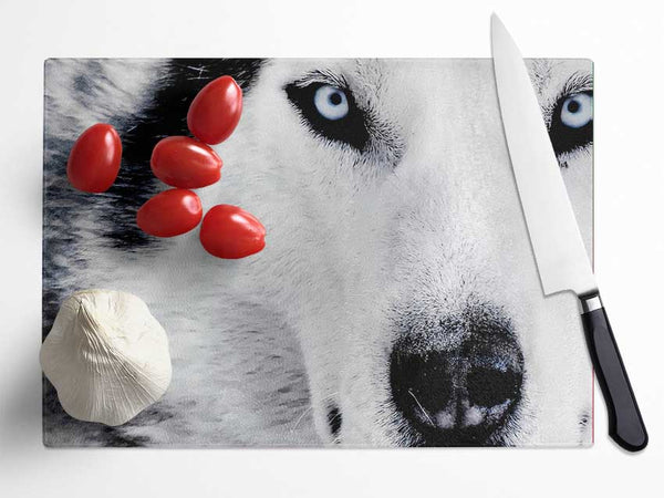 Siberian Husky Eyes Glass Chopping Board