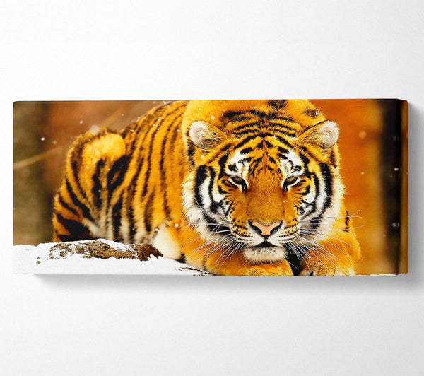 Sibirischer Schneetiger
