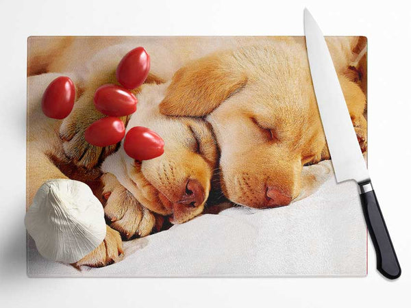 Sleeping Puppies Glass Chopping Board
