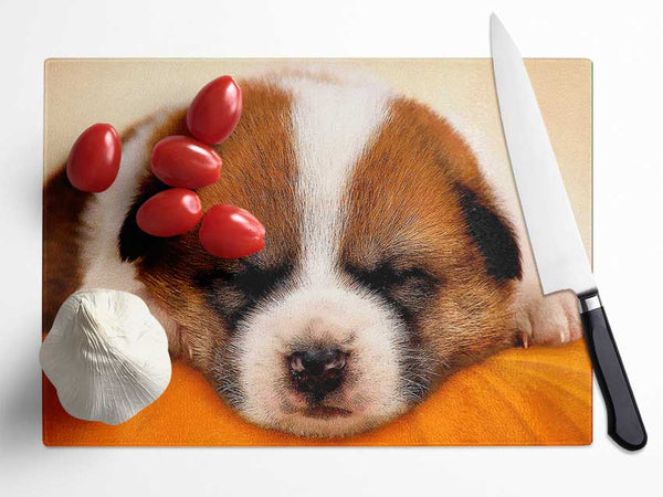 Sleeping Puppy Love Glass Chopping Board