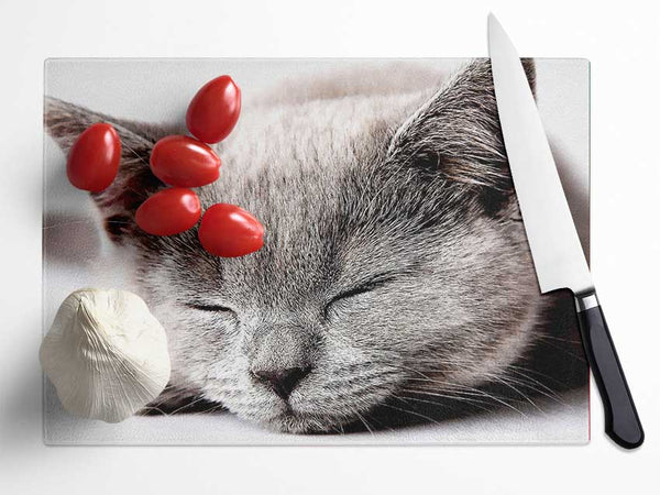 Sleepy Grey Kitten Glass Chopping Board