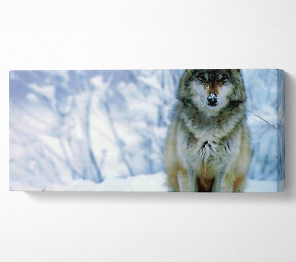 Schneewolf