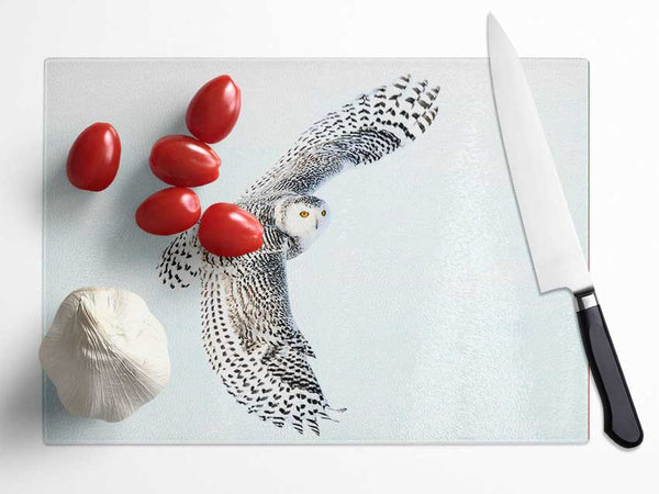 Snowy Owl Glass Chopping Board