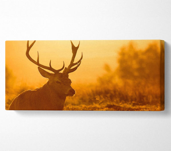 Sonnenuntergang Hirsch