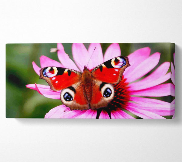 Symmetrischer Schmetterling
