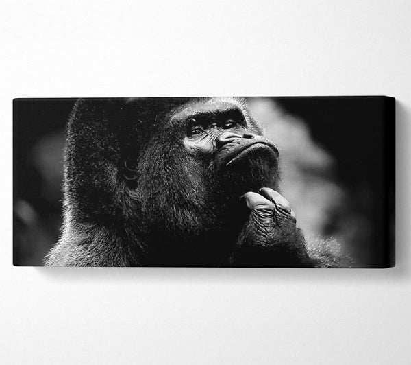 Nachdenklicher Gorilla B n W