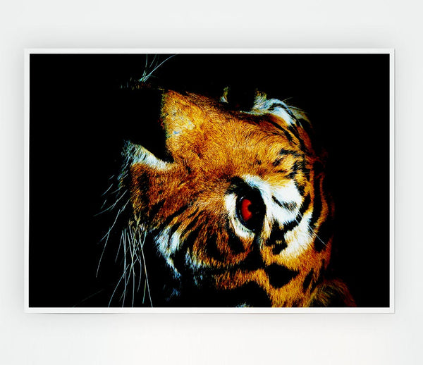Tiger Beauty Print Poster Wall Art