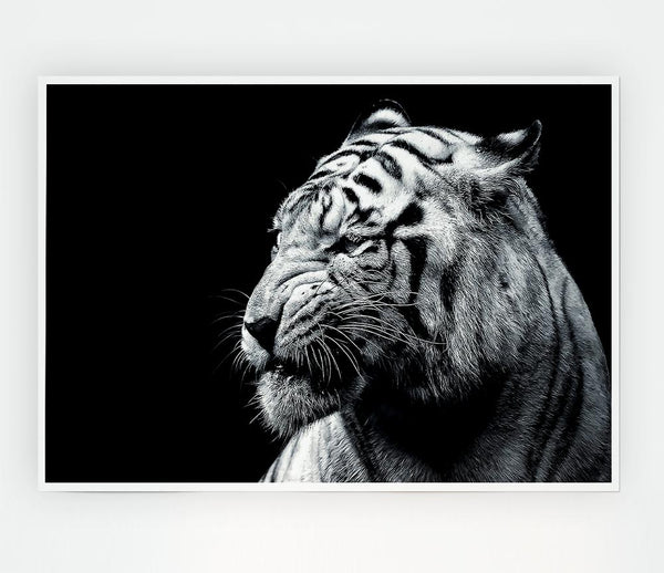 Tiger Black And White 2 Print Poster Wall Art