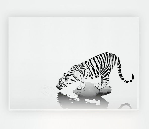Tiger Drinking Print Poster Wall Art