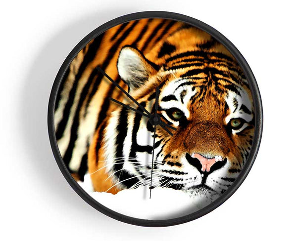 Tiger After The Hunt Clock - Wallart-Direct UK