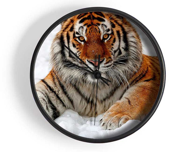 Tiger In Snow Clock - Wallart-Direct UK