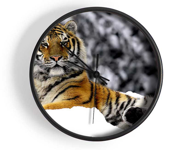 Tiger In Winter Clock - Wallart-Direct UK