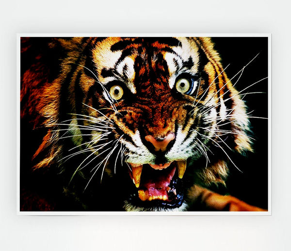 Tiger Roar Print Poster Wall Art