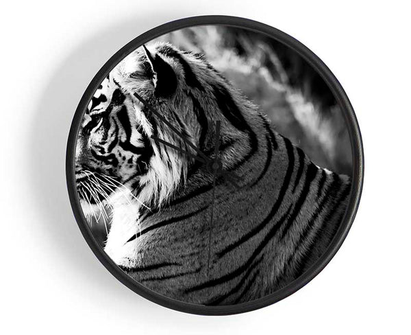 Tiger Resting Clock - Wallart-Direct UK