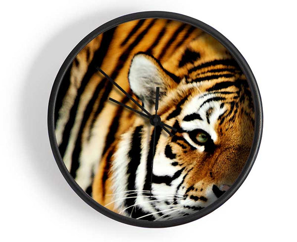 Tiger Snow Nose Clock - Wallart-Direct UK