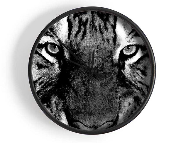 Tiger Stare B n W Clock - Wallart-Direct UK