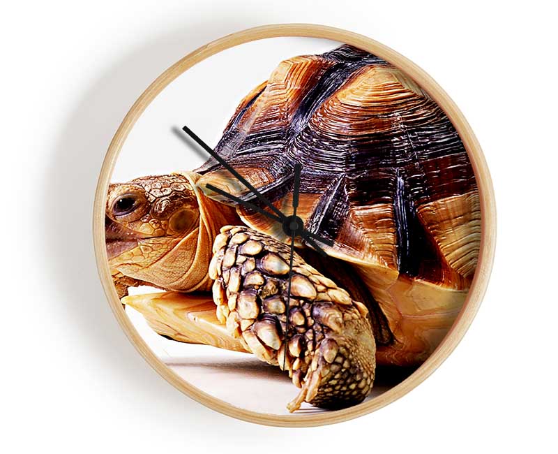 Tortuous Walk Clock - Wallart-Direct UK