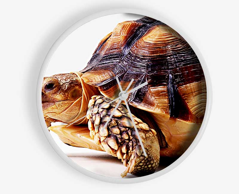 Tortuous Walk Clock - Wallart-Direct UK